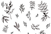 Graphic illustration set, an Illustration by Alena Ermakova (Thumbnail 5 of 8)