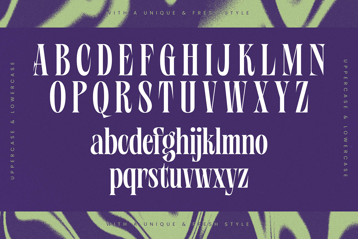Wafterlic Modern Display Serif, a Serif Font by timelesstype.co (Photo 17 of 20)