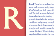 Winsel, a Serif Font by insigne (Thumbnail 4 of 5)