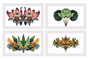 Muji Co · Symmetrical Botanics, a Decorative Illustration by milatovar (Thumbnail 3 of 16)
