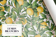 Lemon branches. Watercolor PNG, an Illustration by OlyaGutArt (Thumbnail 4 of 4)