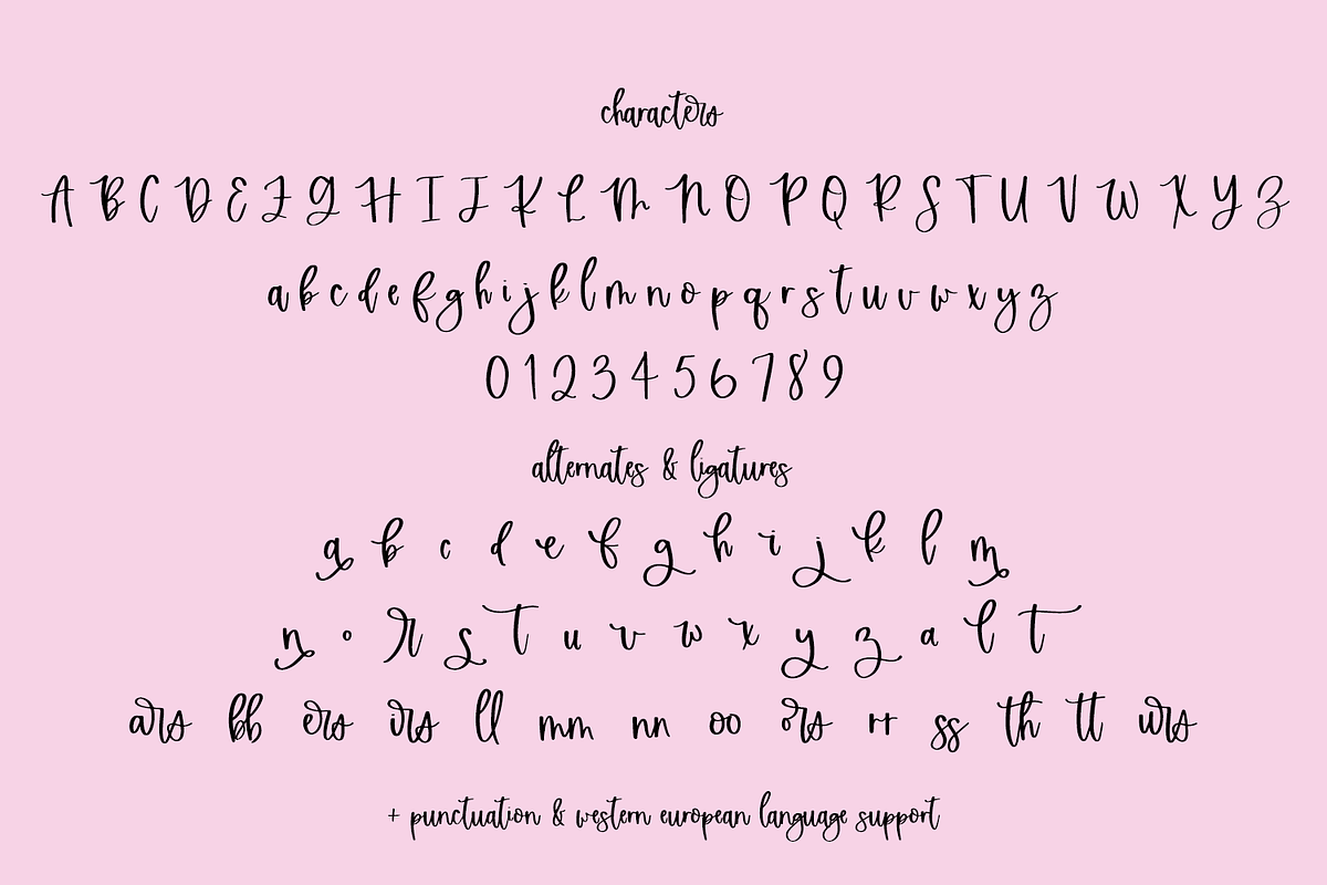 Sugarstar Script, a Handwritten Font by Beck McCormick (Photo 10 of 10)