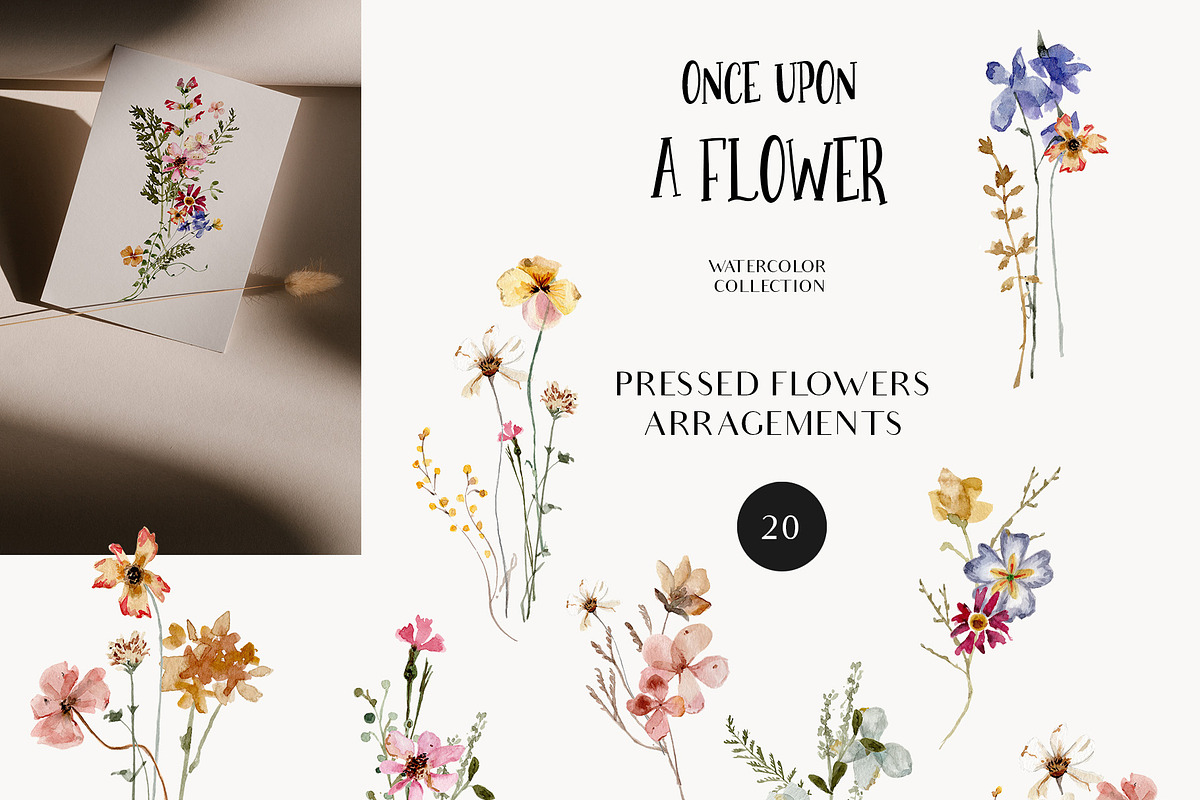 Meadow watercolor dried wildflowers, a Decorative Illustration by Grace Noboa Illustrations (Photo 5 of 13)