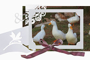 Cottage Heirloom. Collage Pack, an Object Graphic by PaperJamLab (Thumbnail 9 of 20)