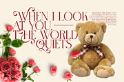 Sweet Valentine Stylish Serif Font, a Serif Font by Perfectype (Thumbnail 6 of 8)