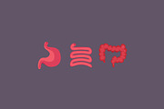 10 Human Organs, an Icon by Beatriz Gascón (Thumbnail 4 of 4)