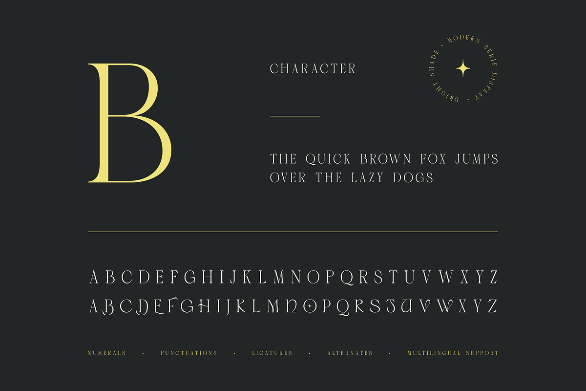 Bright Shade - Modern Serif Display, a Serif Font by Namara Creative Studio (Photo 8 of 12)