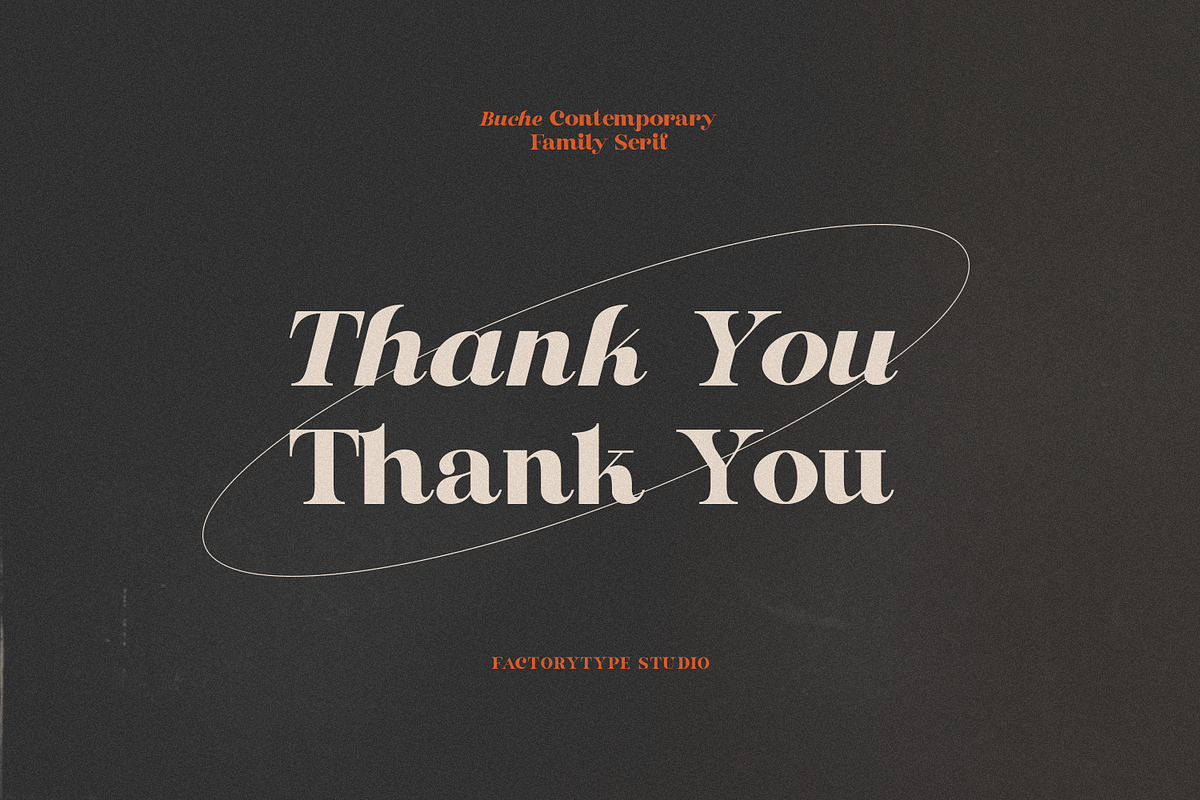 Buche Contemporary Serif, a Serif Font by FactoryType Studio (Photo 12 of 12)