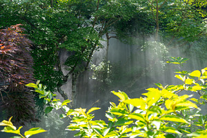 Misted garden of Daisho-in Temple on Miyajima Island, Japan, a Nature Photo by GoodGoods