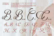 Denamola - Elegant Script Font, a Serif Font by Qweera Studio (Thumbnail 9 of 12)