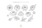WILDFLOWER LINE ART, an Object Illustration by Kate Art (Thumbnail 6 of 22)