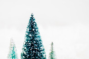 Woodland Ornaments Stock Photos, a Business Photo by CarmenCreativeStudio (Thumbnail 3 of 3)