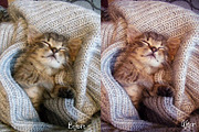 Matte Lightroom Presets, an Action Add-On by Creative Shop (Thumbnail 3 of 4)