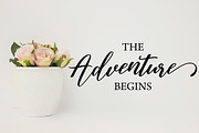 Austina Script, a Script Font by Zane Studio (Thumbnail 4 of 11)