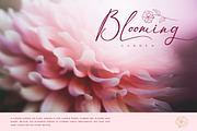 Themollina, a Script Font by kerismaker (Thumbnail 7 of 12)