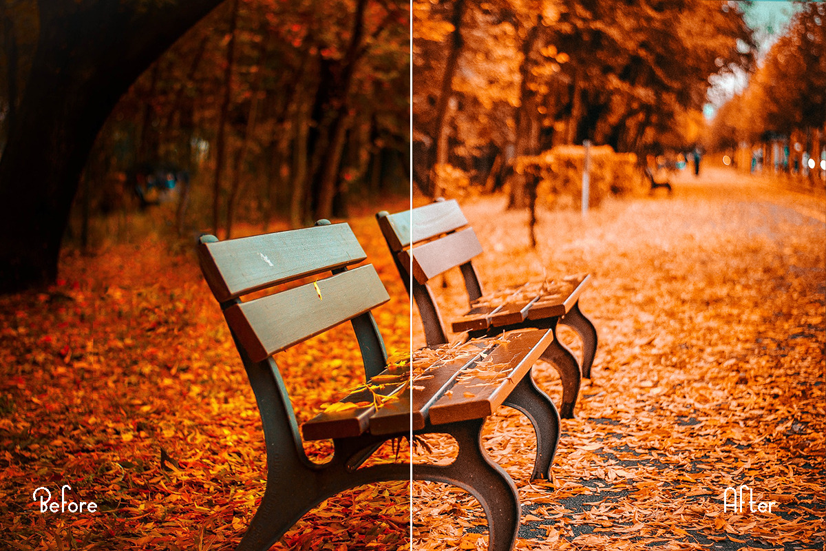 Autumn Photoshop Actions 110 Bundle, an Action Add-On by ARTNEST (Photo 5 of 11)