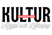 Paper Tiger Victorian Font Madness, a Script Font by Fenotype (Thumbnail 7 of 14)