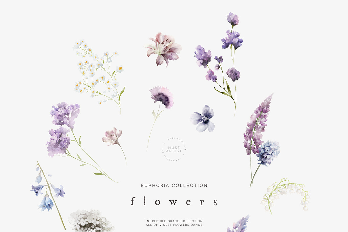 EUPHORIA Purple Watercolor Florals, a Decorative Illustration by Muse Artist (Photo 5 of 12)