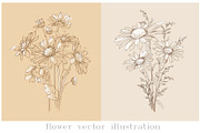 Ink Vector Chamomile, a Decorative Illustration by Sweet_print (Thumbnail 1 of 6)