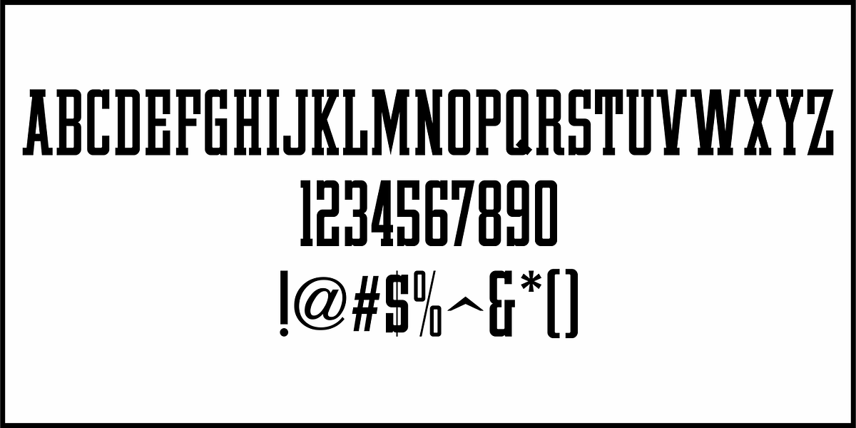 Automotive Service JNL, a Slab Serif Font by Jeff Levine Fonts (Photo 3 of 5)