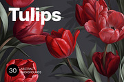 Tulips - 30 images, a Decorative Illustration by Handmadefont (Thumbnail 1 of 9)