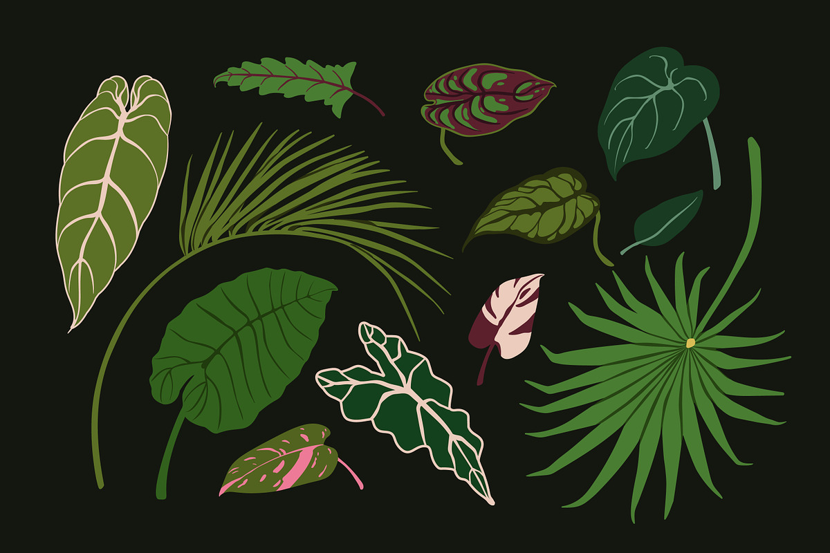 Exotic leaves. Green leaf plants set, a Decorative Illustration by Good Studio (Photo 2 of 10)