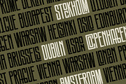 SLTF Snowpack - Ultra Condensed Font, a Sans Serif Font by SilverStag Type Foundry (Thumbnail 25 of 30)
