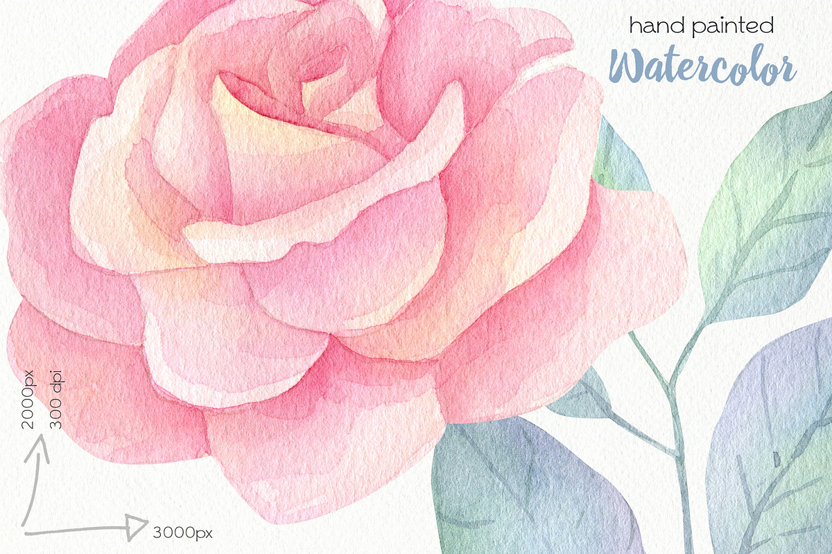 Watercolor Blooming Clipart, an Illustration by OllyKo Art (Photo 7 of 8)