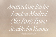Fabulous Display Italic Font, a Serif Font by Type and Graphics Studio (Thumbnail 13 of 18)