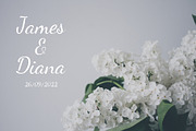 Bellaif | modern handwritten font, a Script Font by Lightsense (Thumbnail 5 of 10)