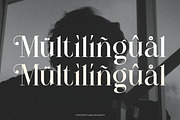 Mariglen - Modern Serif Font, a Font by Flawless And Co (Thumbnail 10 of 10)