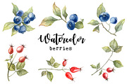 Watercolor berries, a Food Illustration by Dashamoony (Thumbnail 1 of 4)