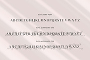 Oliva Serif Font, a Serif Font by Salt & Pepper Designs (Thumbnail 8 of 10)