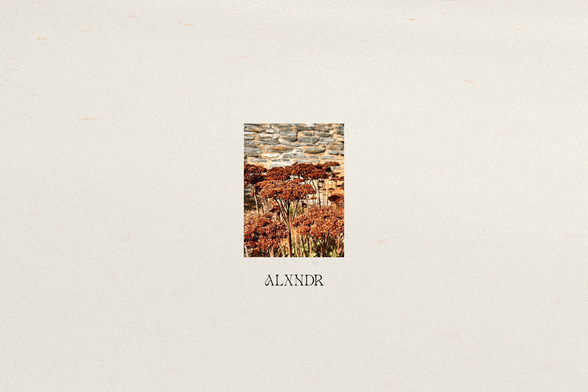 Harvest Rituals | Autumn Images, a Background Photo by bron.alexander (Photo 12 of 12)