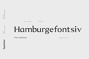 Aureate - A Sophisticated Serif, a Serif Font by Cassandra Cappello (Thumbnail 3 of 5)