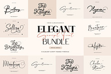Elegant Script Font Bundle