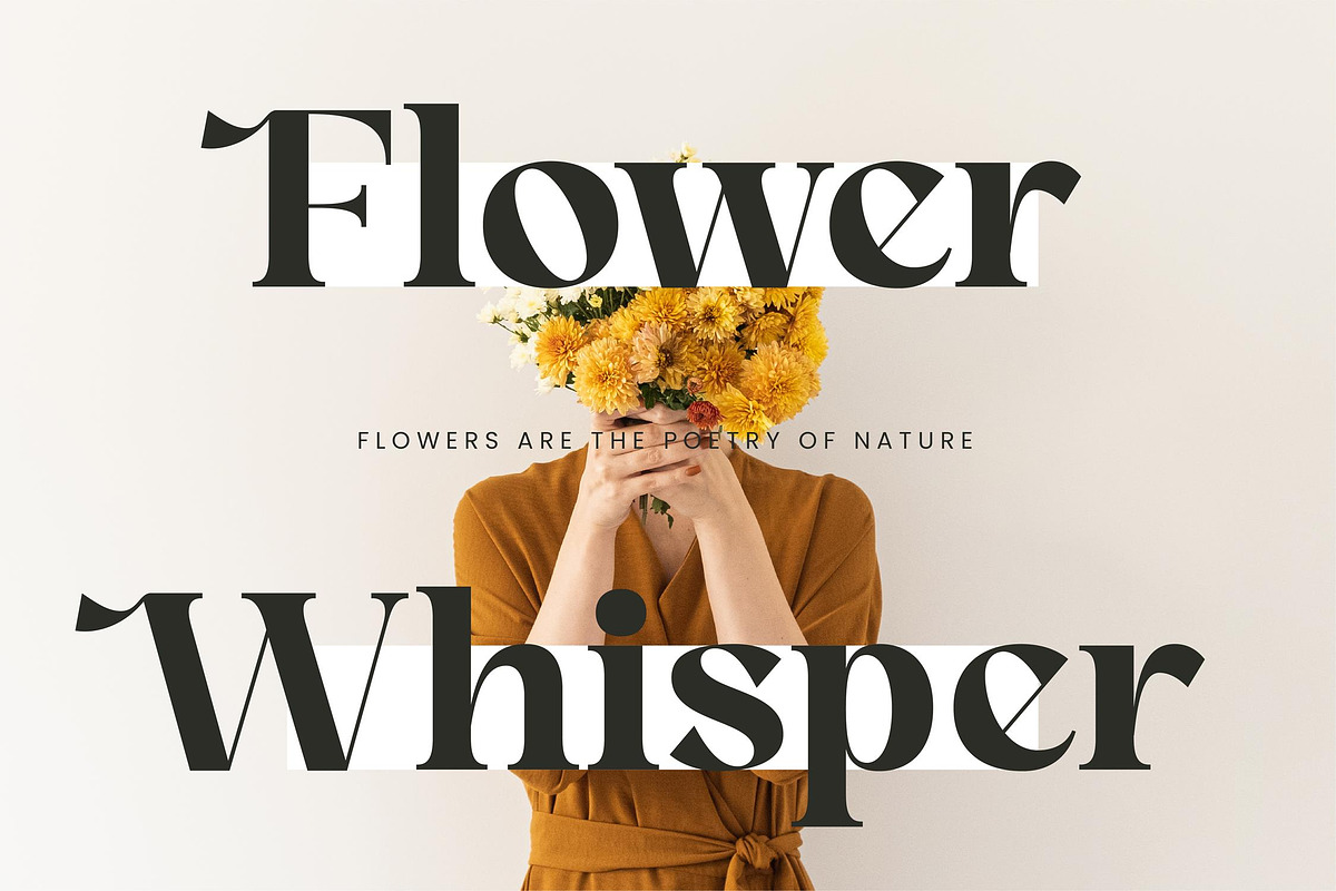 Angfia Relaftio Modern Serif Font, a Script Font by Letterena Studios (Photo 10 of 15)