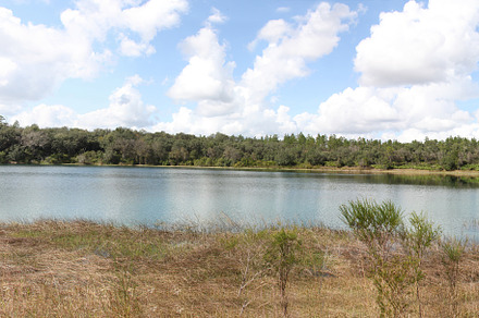 Lake in Gold Head Branch State Park