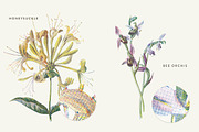 Vintage Flower Illustrations Bundle, an Illustration by Greta Ivy (Thumbnail 35 of 62)
