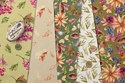Autumn botanical seamless patterns, an Illustration by Kate Lanbina (Thumbnail 8 of 13)