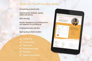 WordPress Theme Soft Tide