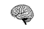 Brain Tree Knowledge Design Bundle, an Illustration by Gaye Art (Thumbnail 3 of 31)