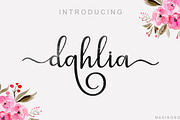 dahlia script, a Script Font by MSG Studio (Thumbnail 1 of 11)