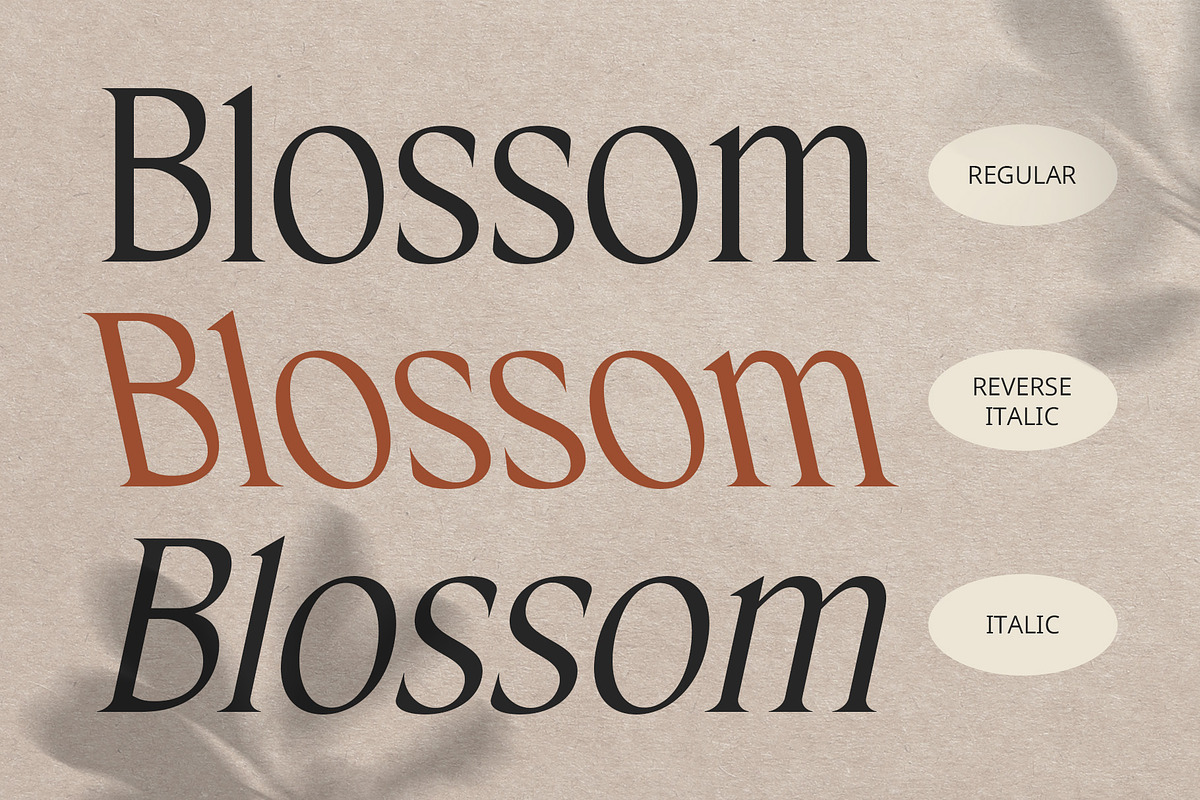 CS Chisa – Elegant Font, a Serif Font by Craft Supply Co. (Photo 3 of 8)