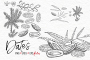 Nuts &  Health snacks, a Food Illustration by Ann Astro (Thumbnail 5 of 12)