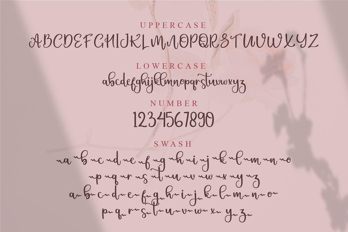 Christin | Wedding Script Font, a Script Font by Suntype | Sunshine Std (Photo 2 of 9)