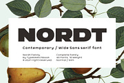 Nordt, a Sans Serif Font by Typesketchbook Foundry (Thumbnail 1 of 5)