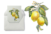 Lemon Garden Watercolor Cliparts, a Decorative Illustration by Jeanna Draw (Thumbnail 8 of 11)