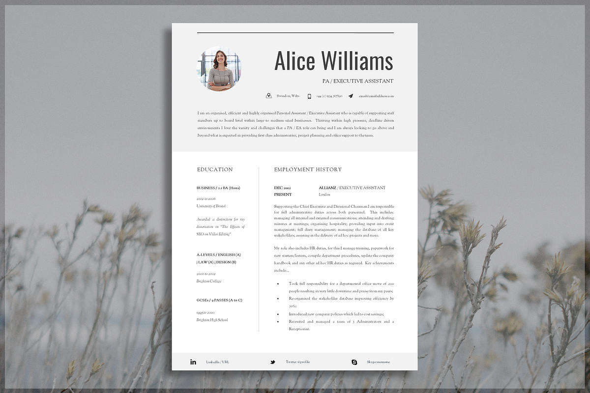 Professional Resume Template, a Resume Template by introDuice - CV / Resumes (Photo 1 of 7)