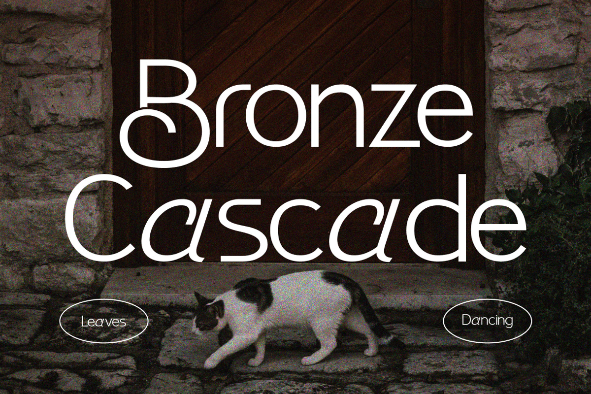 Benomore - Elegant Display Font, a Sans Serif Font by Vadovastd (Photo 5 of 6)